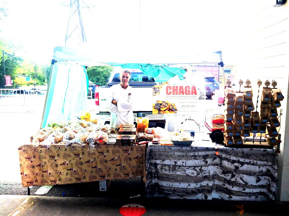 Photo Chaga Nature — Jean Paul Laroche