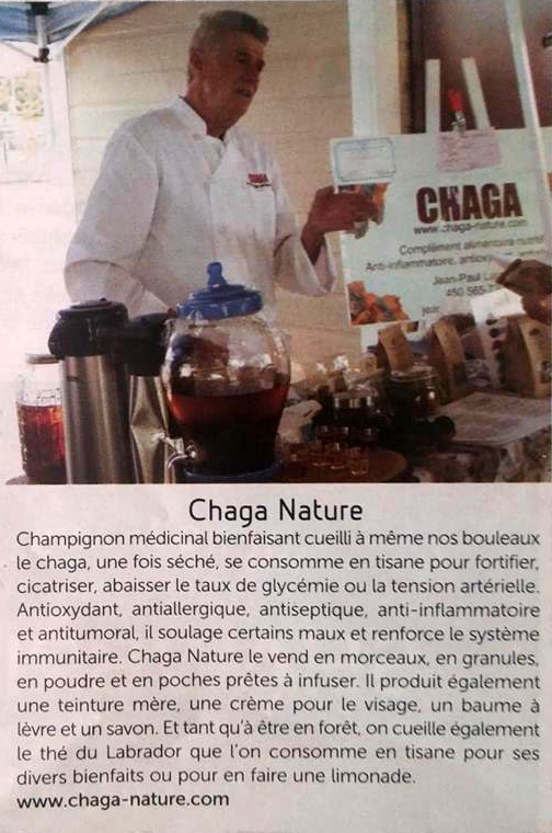 Photo Chaga Nature — Jean Paul Laroche