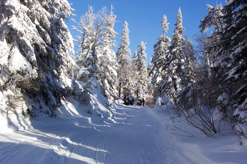 Photo motoneige — Jean Paul Laroche