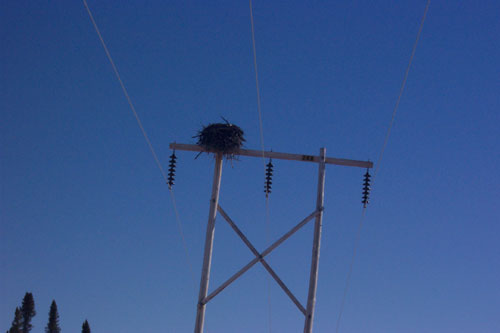 Photo motoneige — Jean Paul Laroche